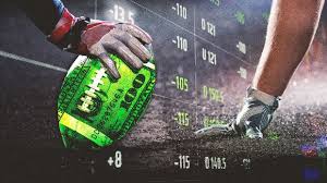 Exploring the PPVIP Platform Benefits and Features