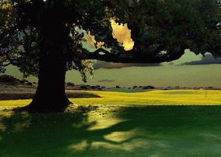 The Silver Coast Portugal: The Ultimate Word Information For Expats Goldcrest