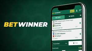 Explore the Exciting World of BetWinner Sportsbook -607918342